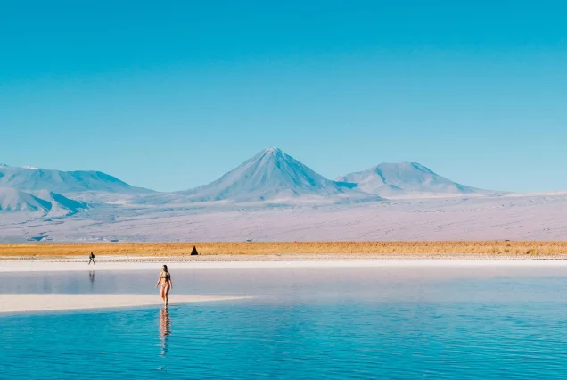 TOURS/LAGUNA CEJARLAGUNA/TEBENQUICHE/OJOS DEL SALAR
